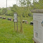 c_willkommen_bienenlehrpfad